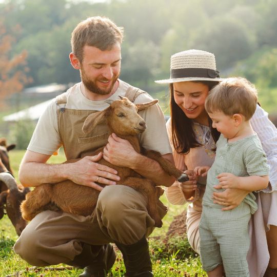 Farmers | 2025 | Free Advice